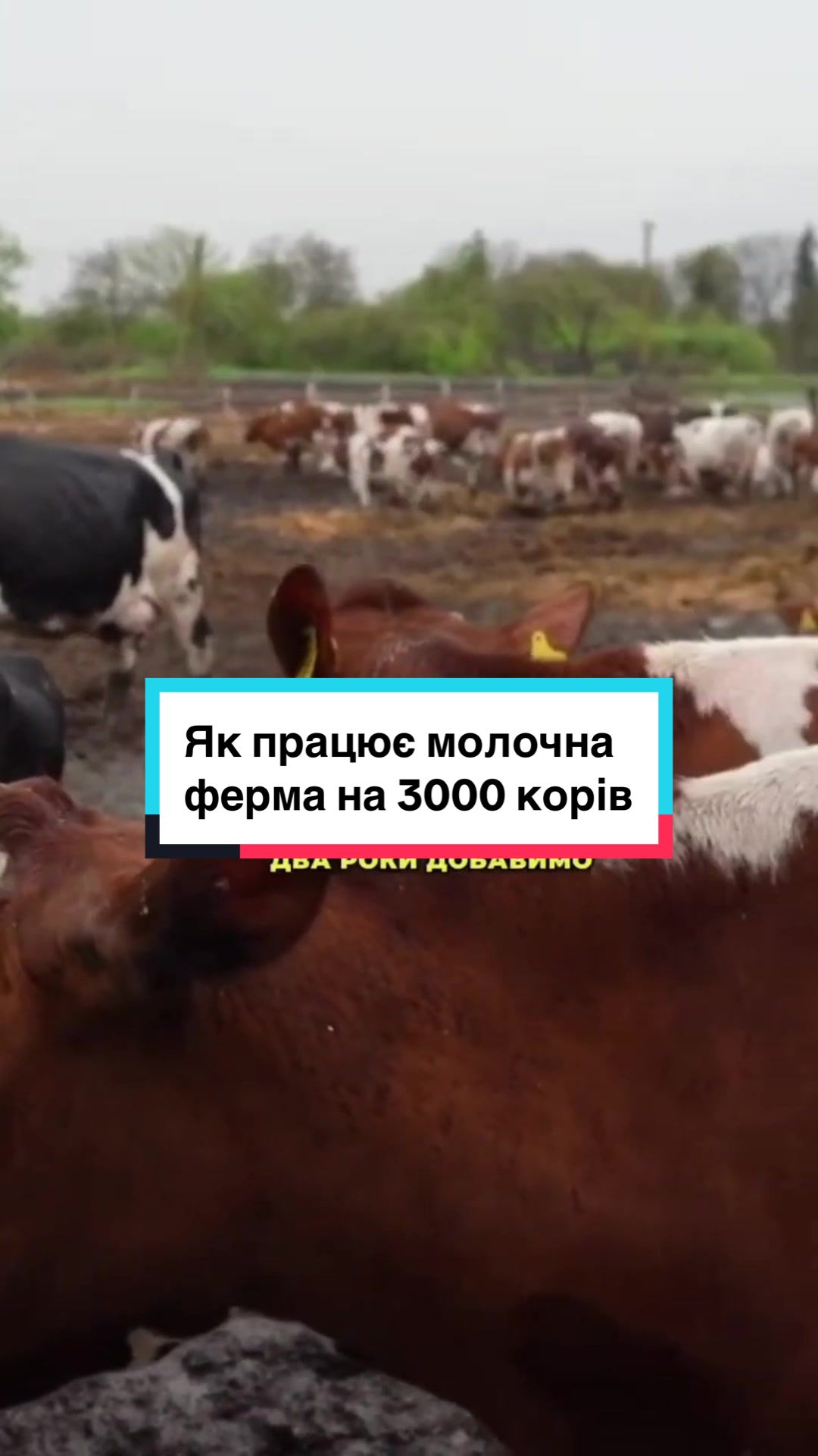 @Ku 🟨🟩 Lati &ndash; Agro Ukraine