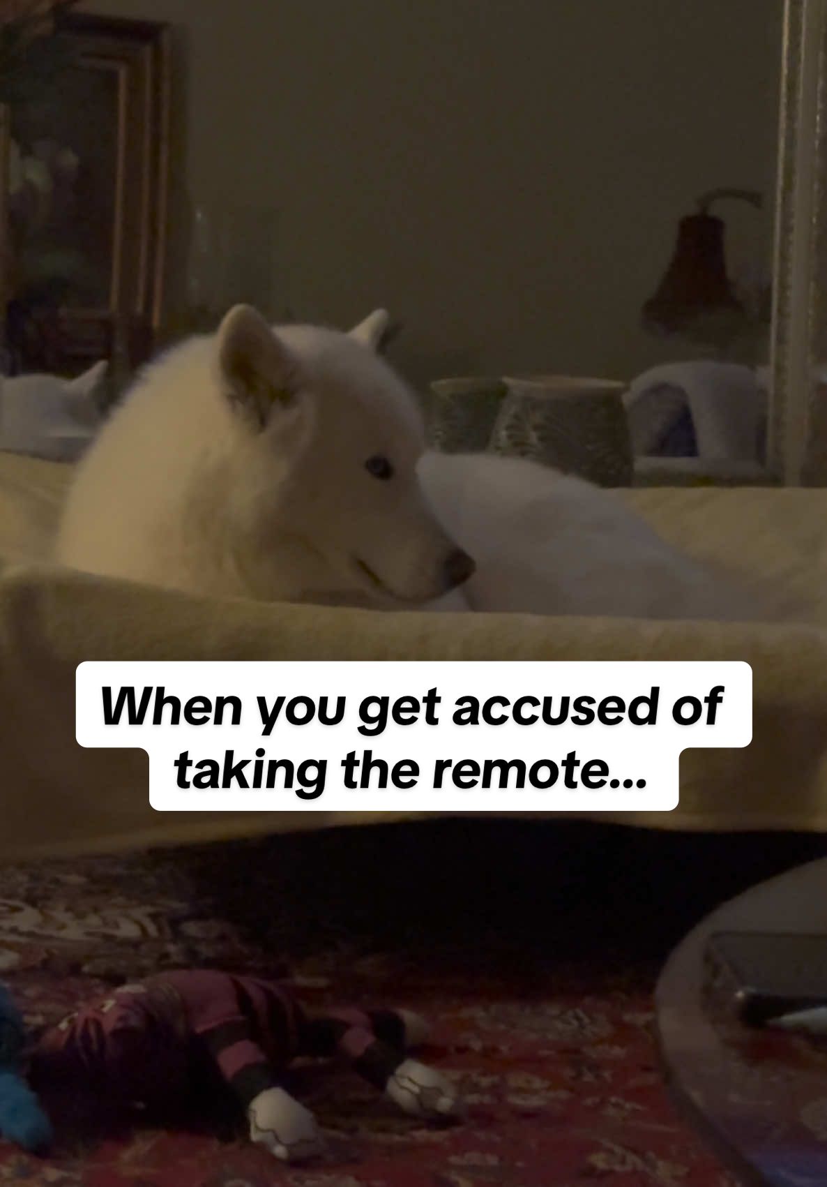 @Tundra