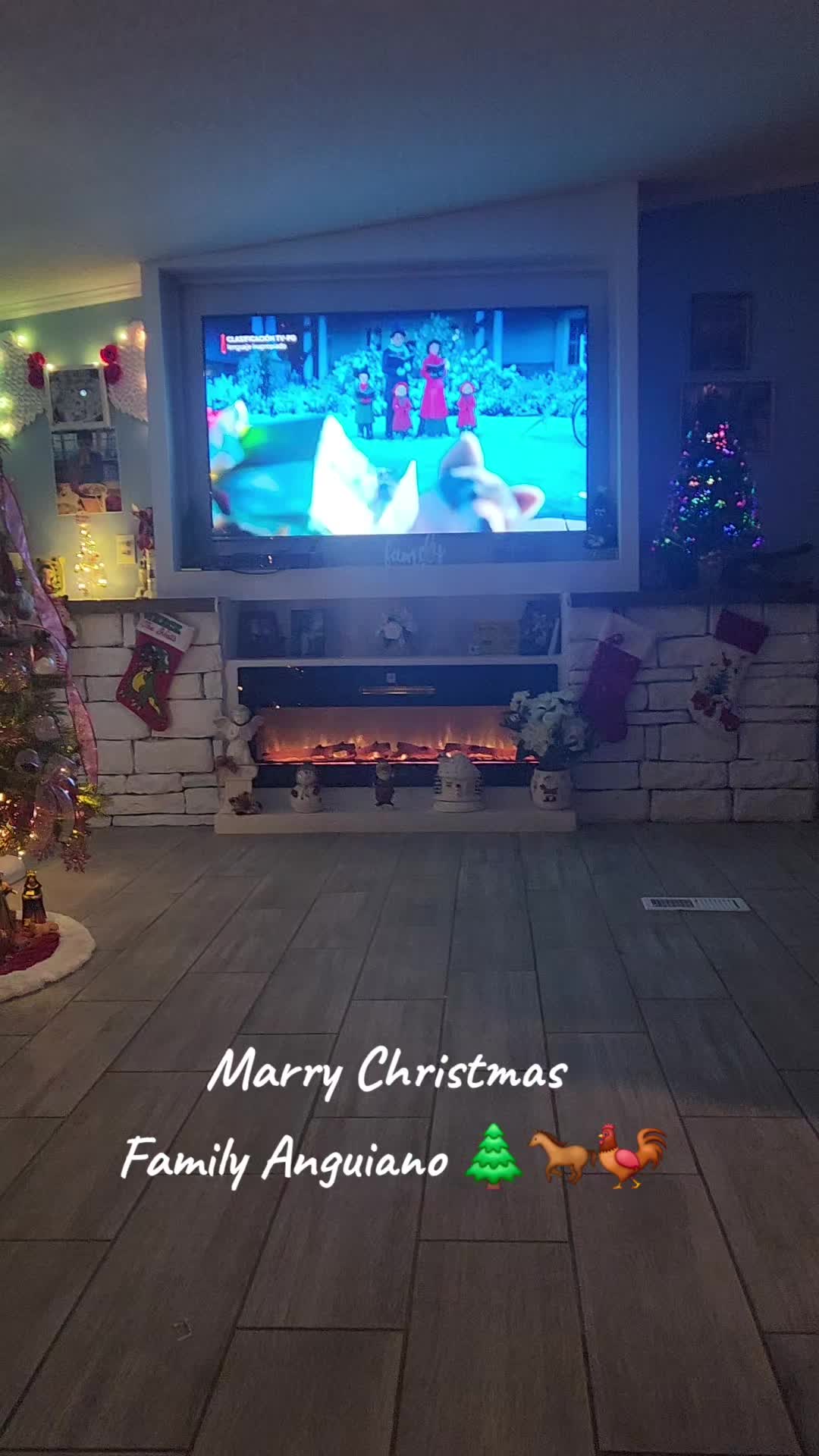 @Pablo Anguiano275