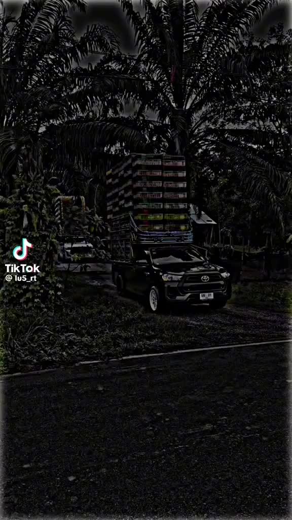 @motez kchaou
