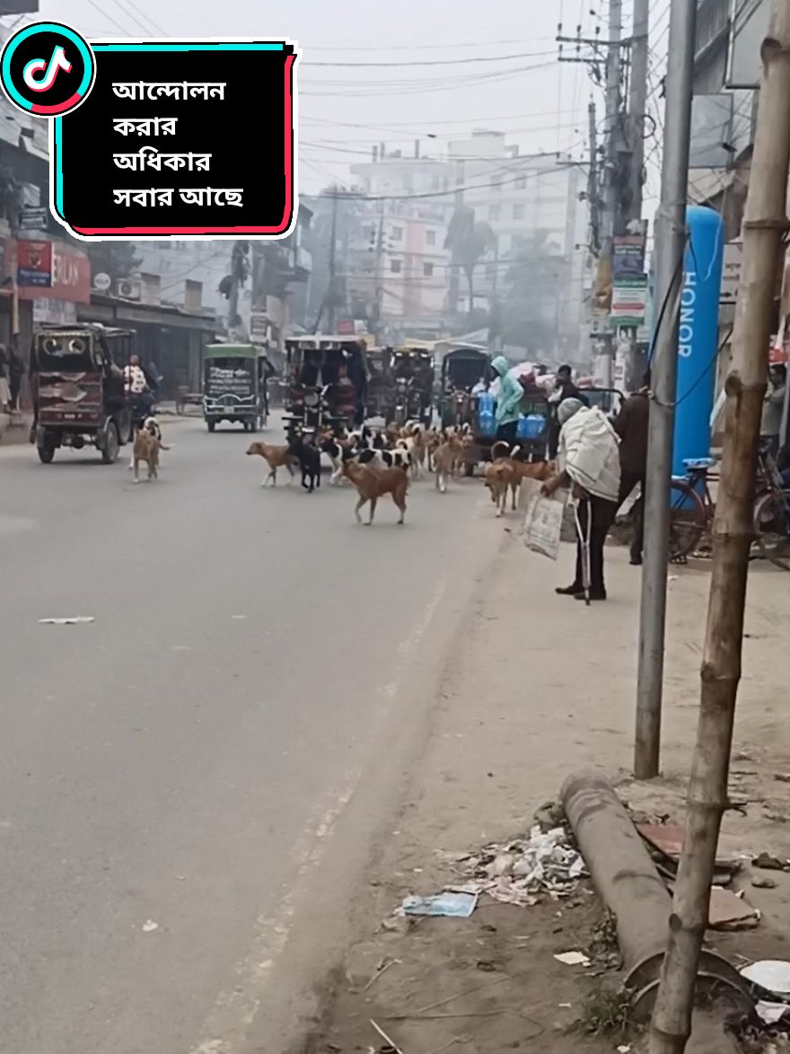 @Pobitro Kumar