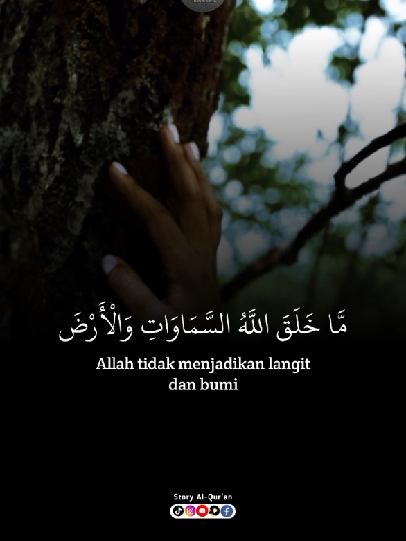 @Scorpio Berkah