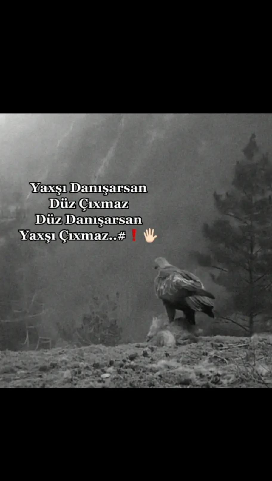 @𝐑.İ🇦🇿