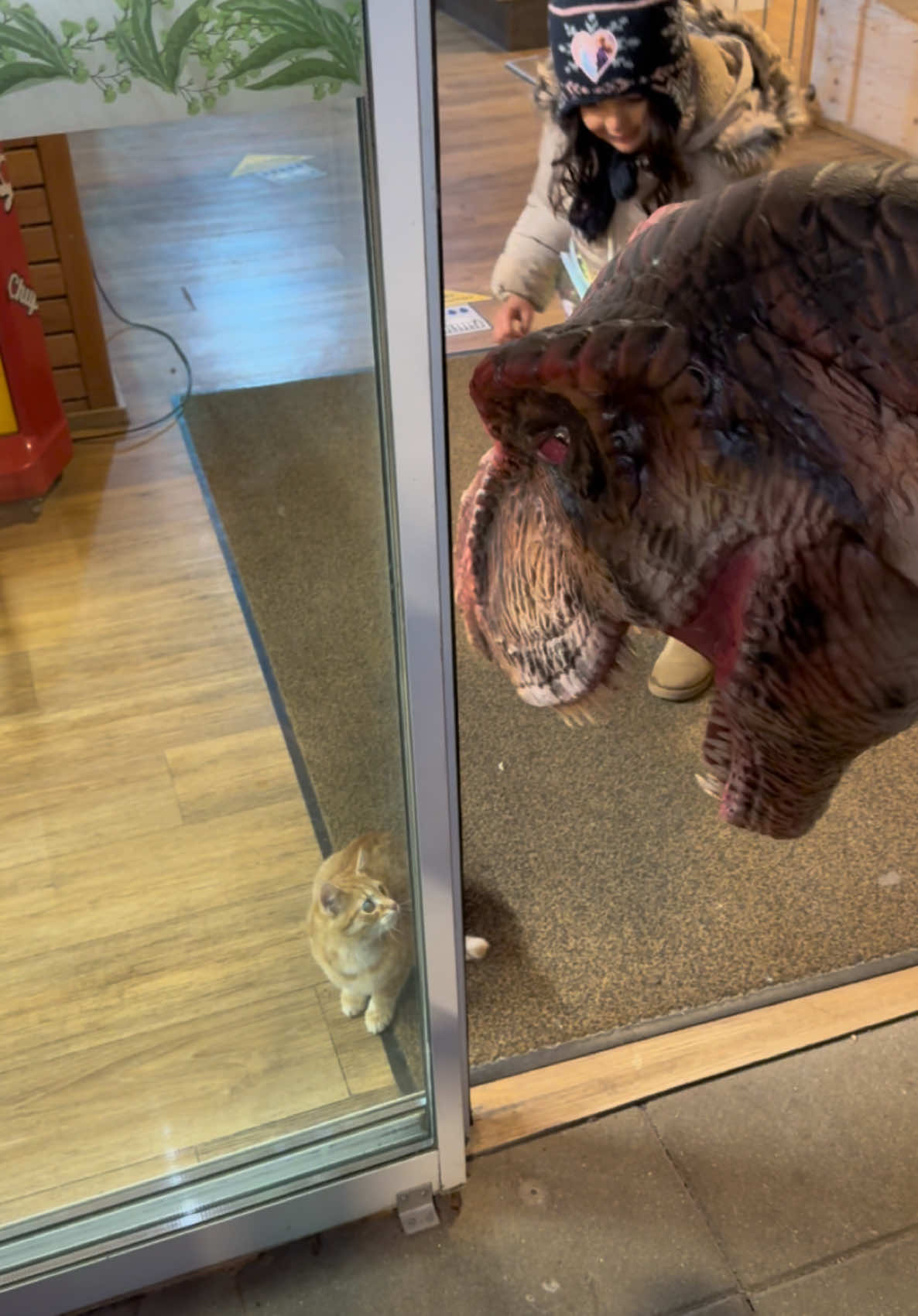 @Styrassic Park