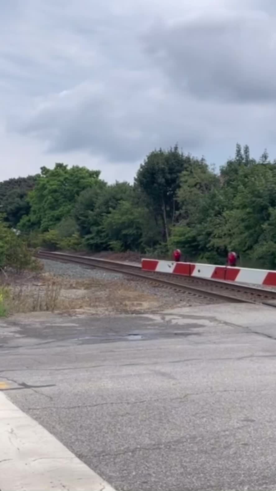 @Central vt rail vids on yt
