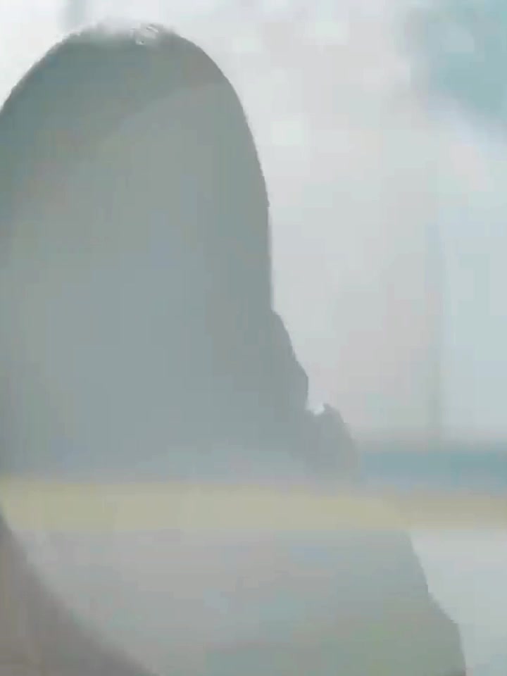@BaeBear🐻