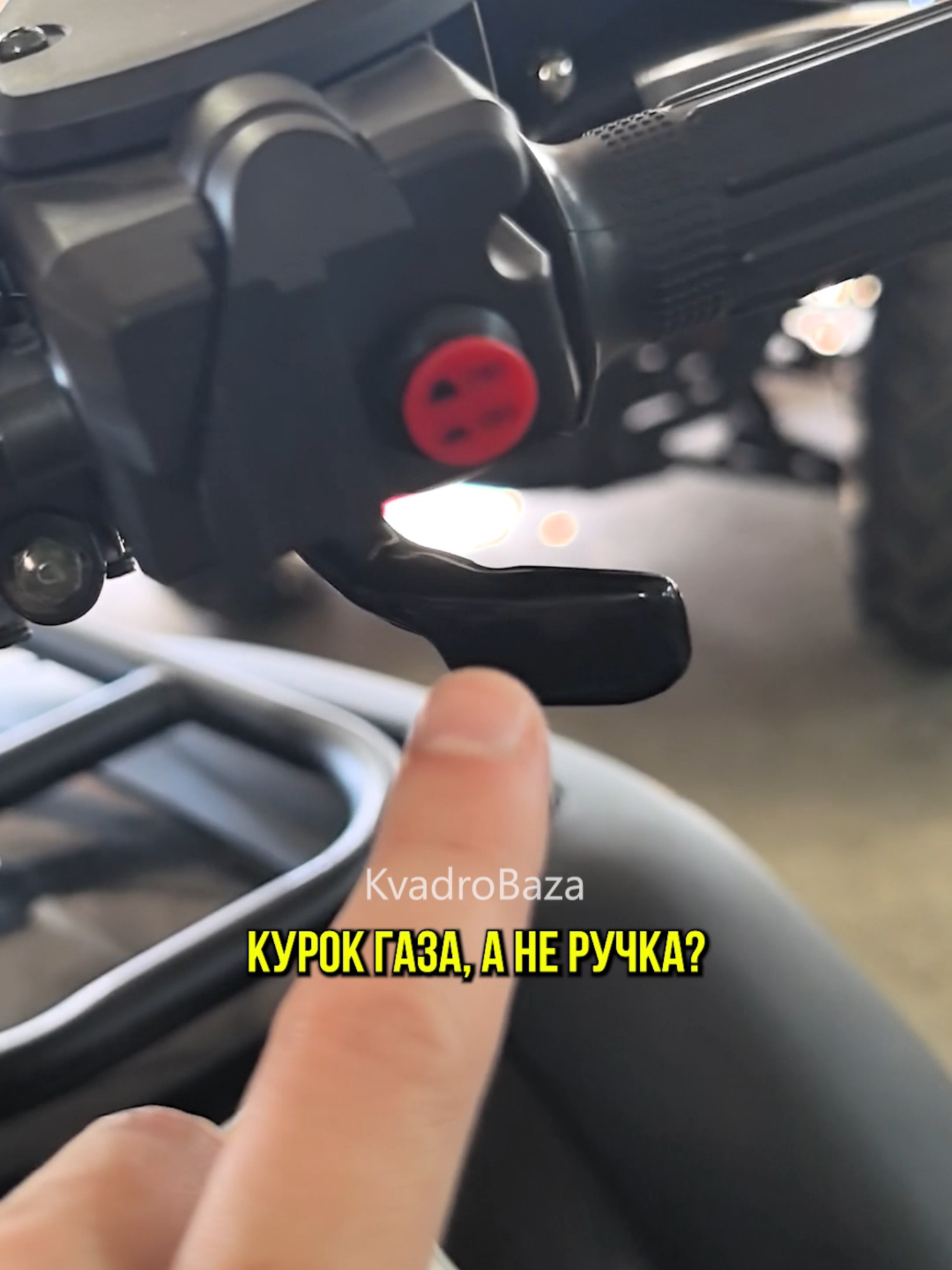 @Илья Ленц | КвадроБаза
