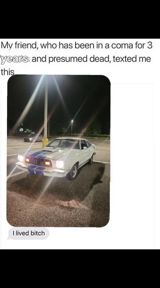 @AlternativeLumberjack