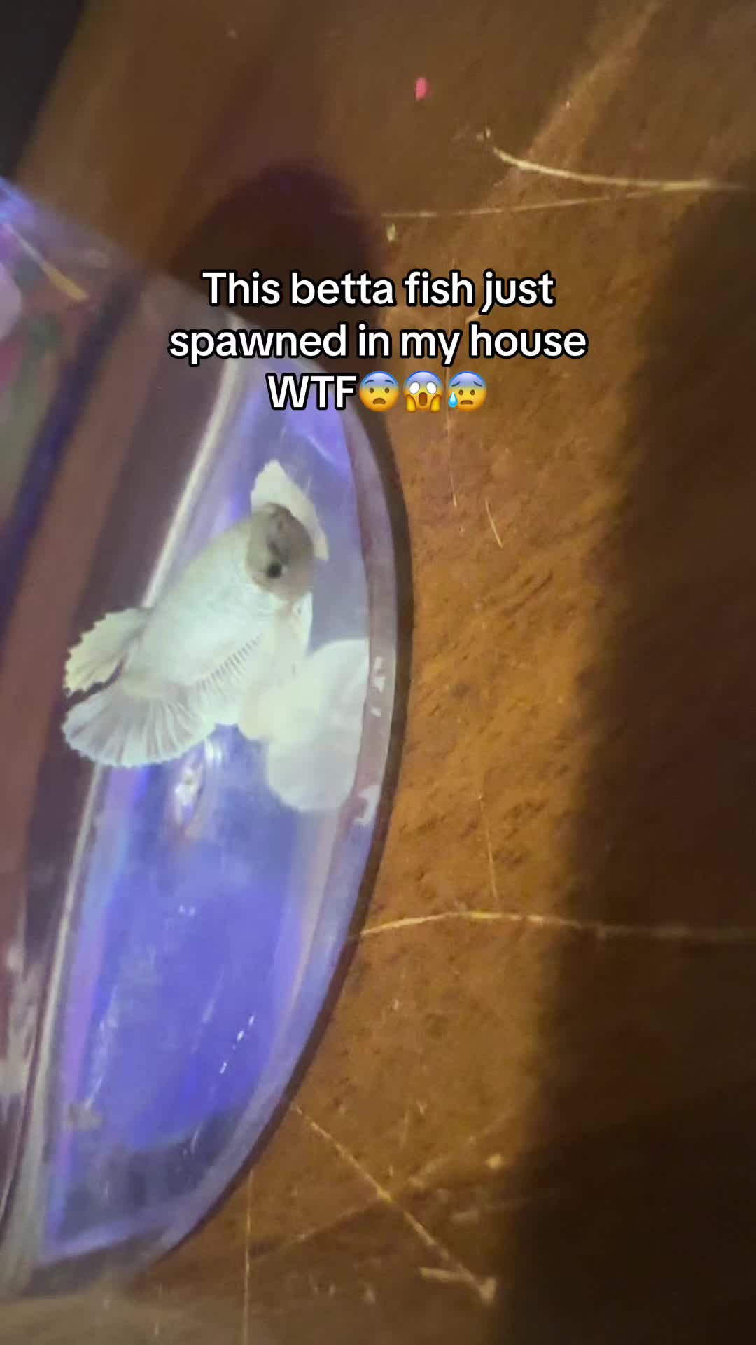 @💫