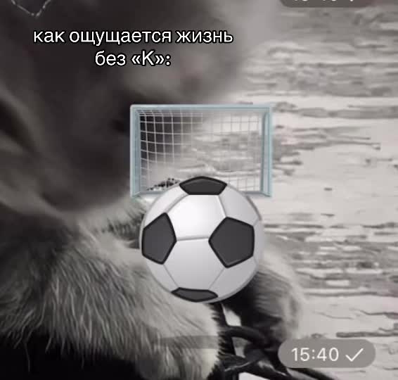 @Катя в сердце🫂