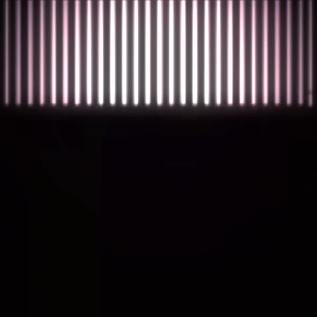 @Joost_fan🦈🧅
