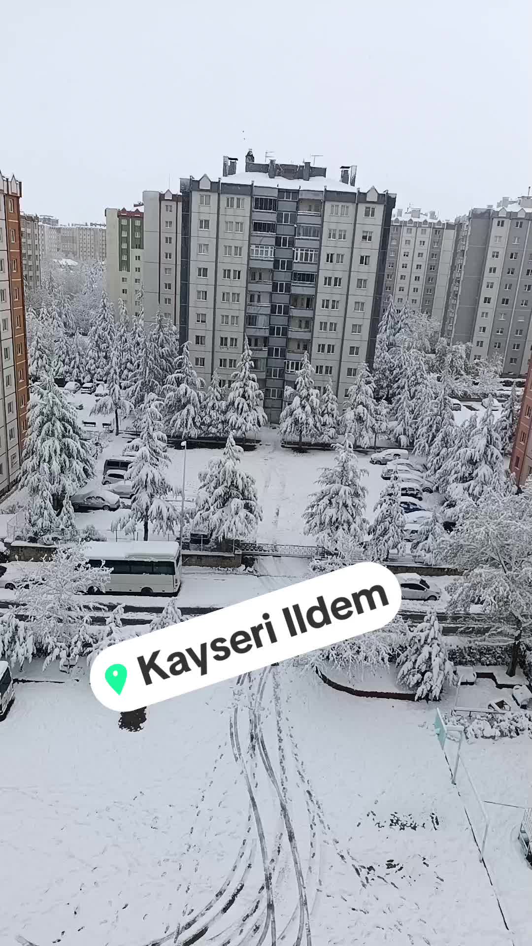 @Bahar Erkilic