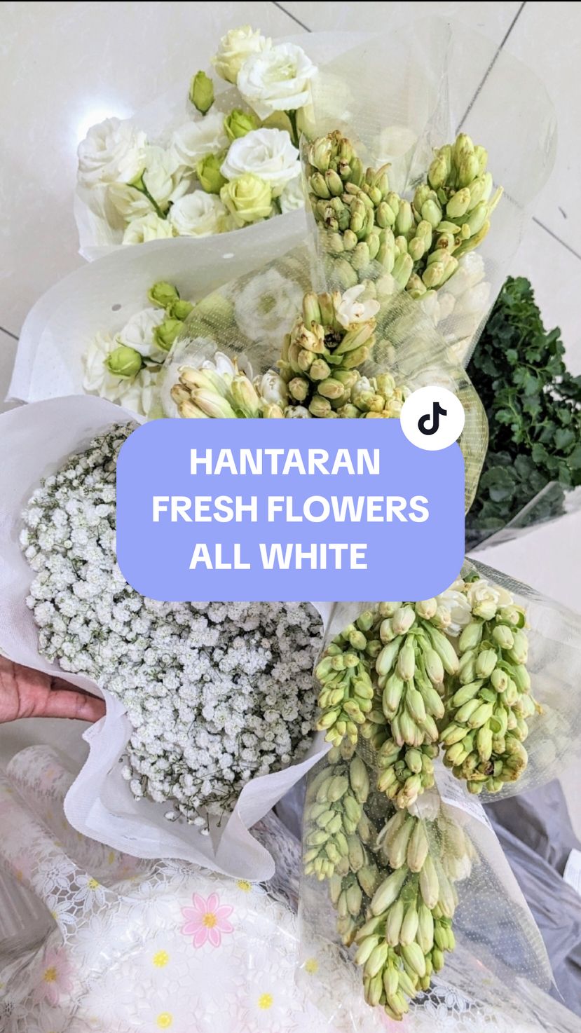 @Hasya Harum