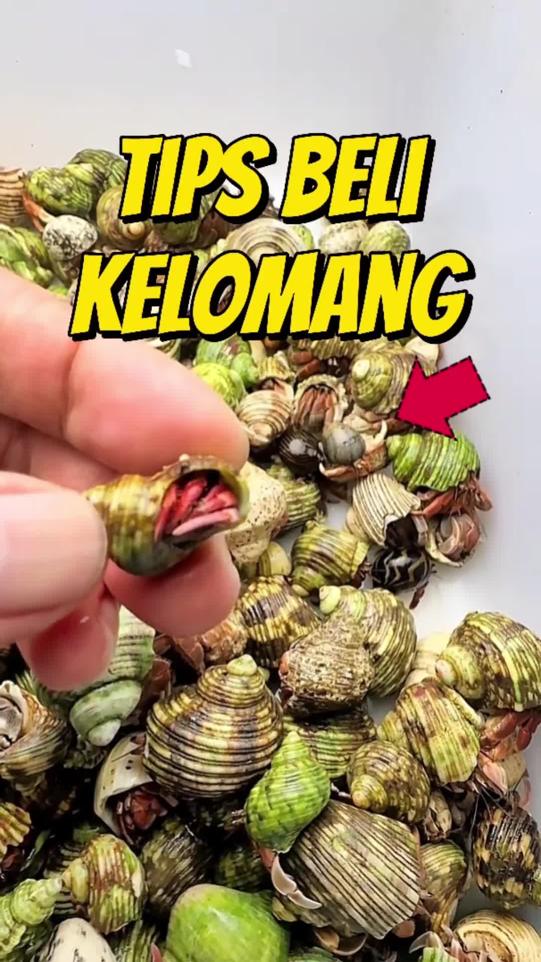 @Ardian Galih 🐜