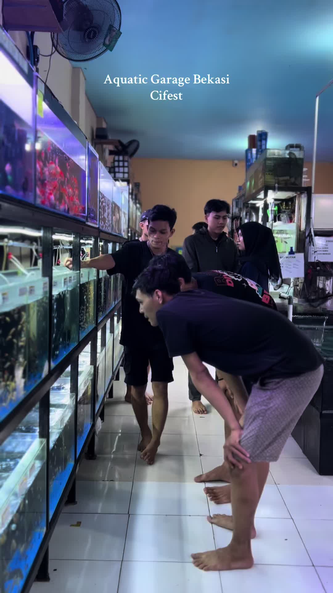 @Aquatic Garage Bekasi