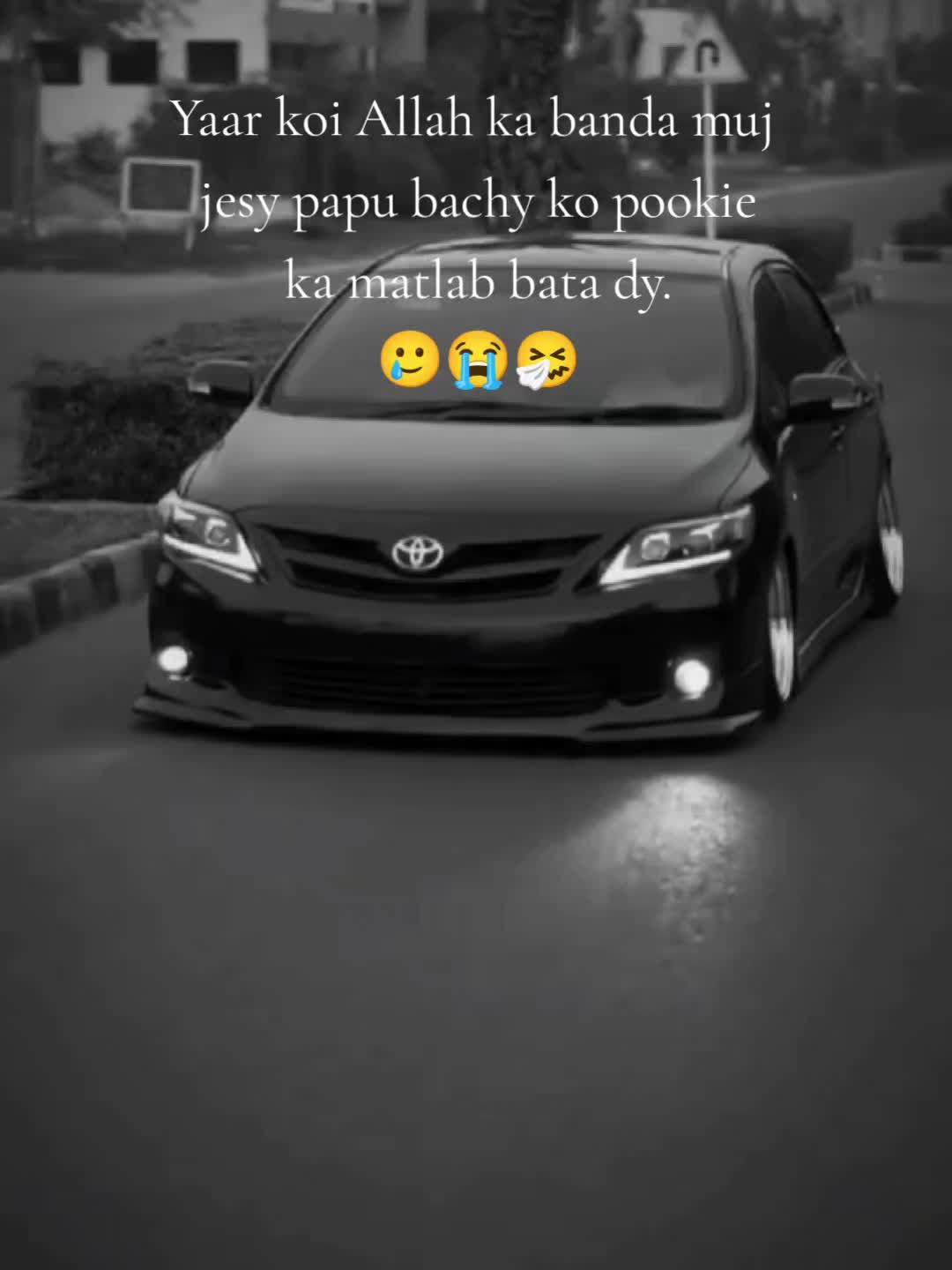@𝐩𝐨𝐨𝐤𝐢𝐞 𝐦𝐚𝐧
