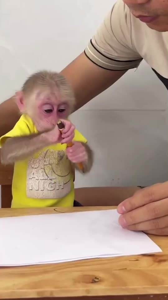 @Monkey Lily