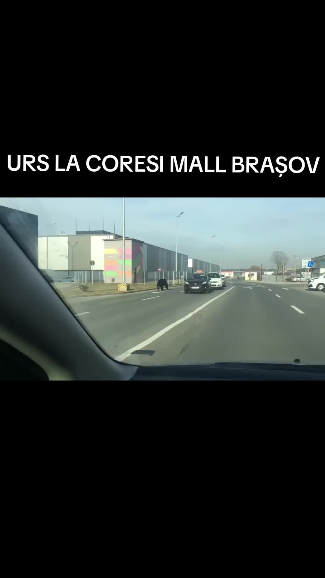 @Vlad