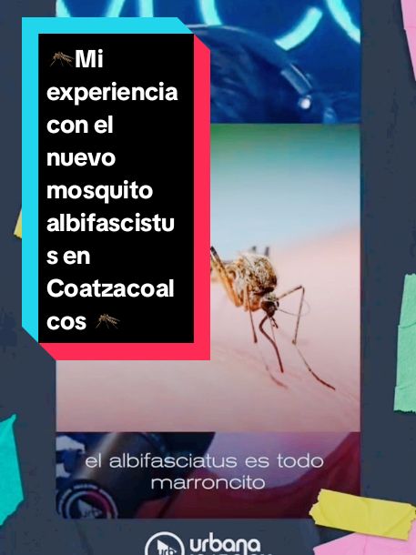 @Adelina