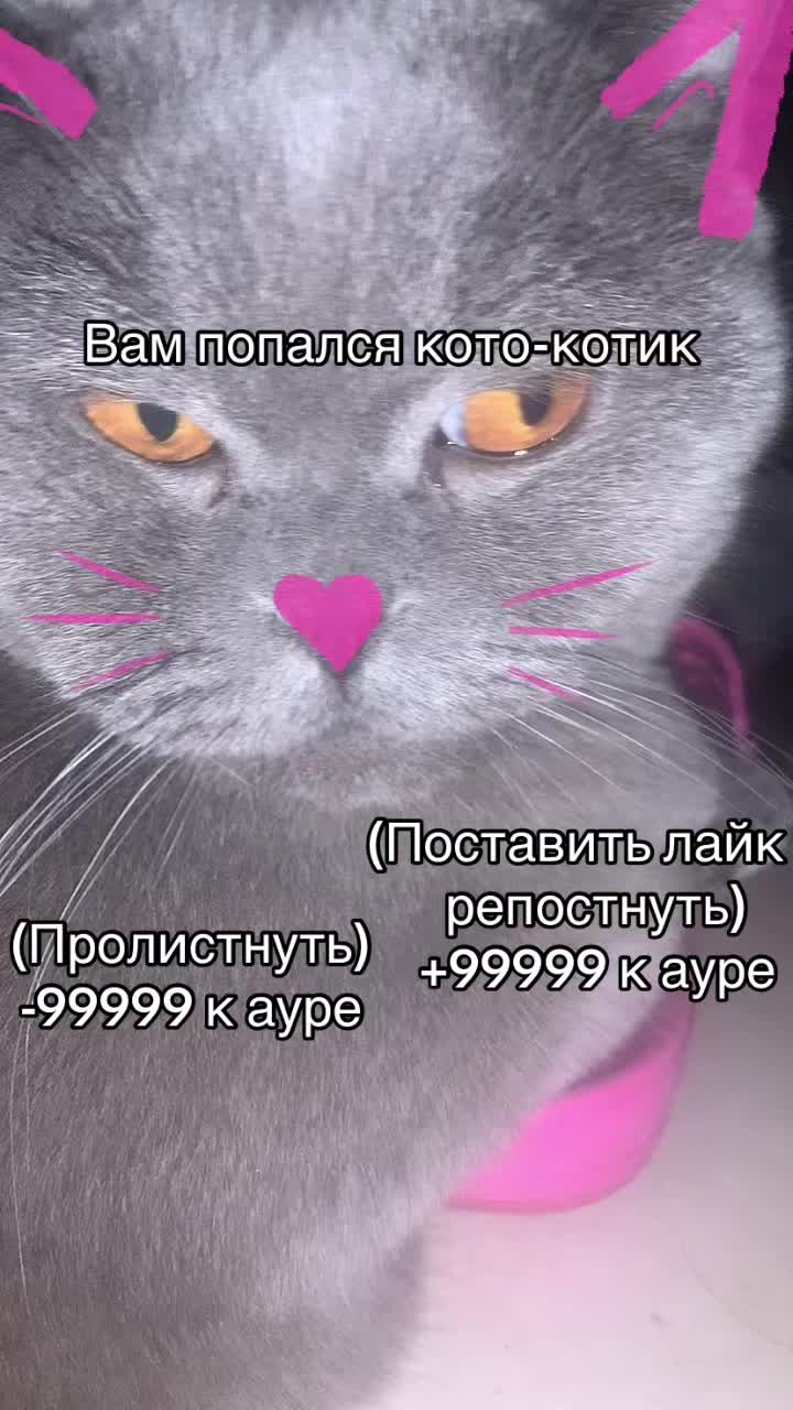 @февроня🌀