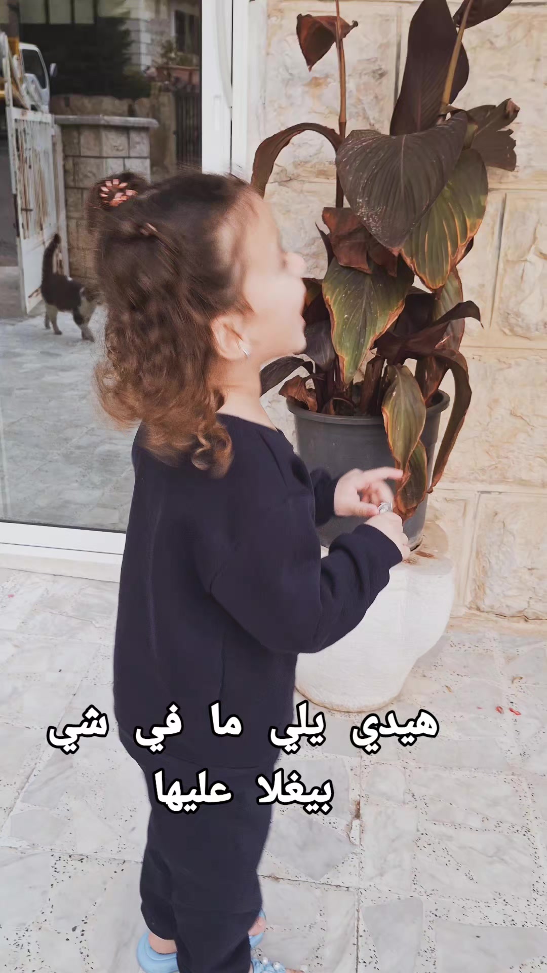 @Eva delbani