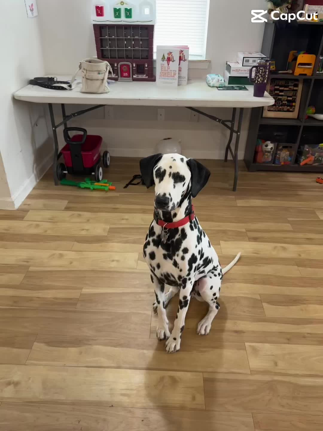 @Manda❤️
