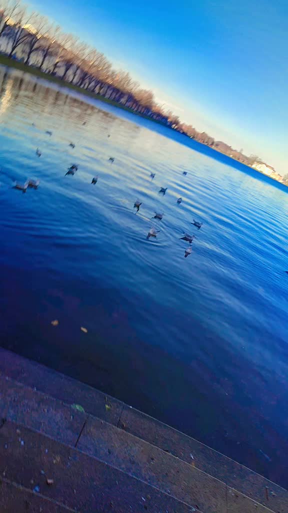 @marina