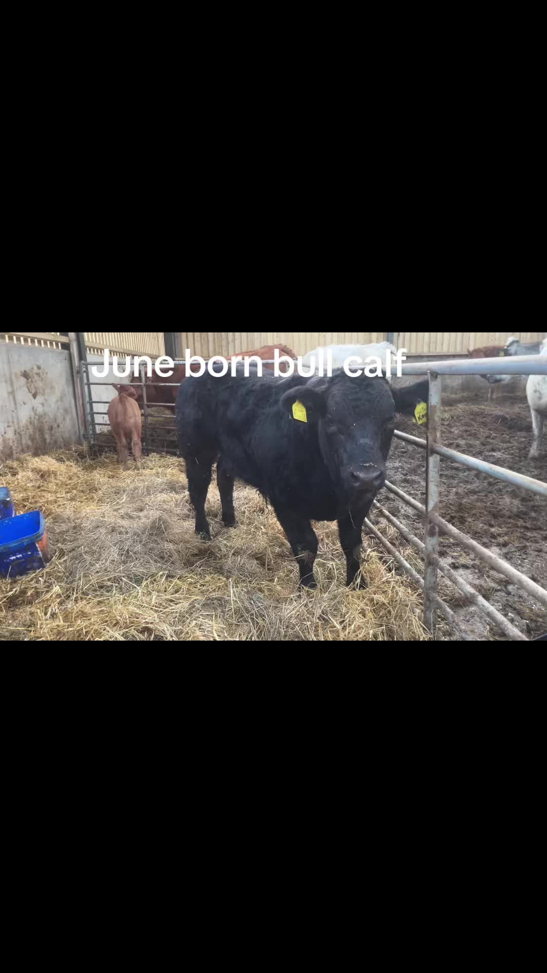 @Stacyshepherdspeakman