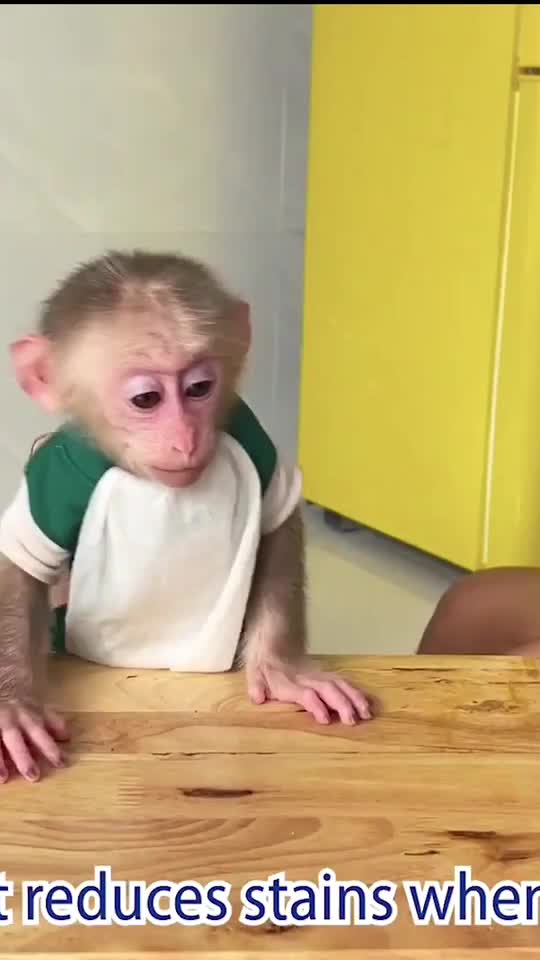 @Monkey Lily