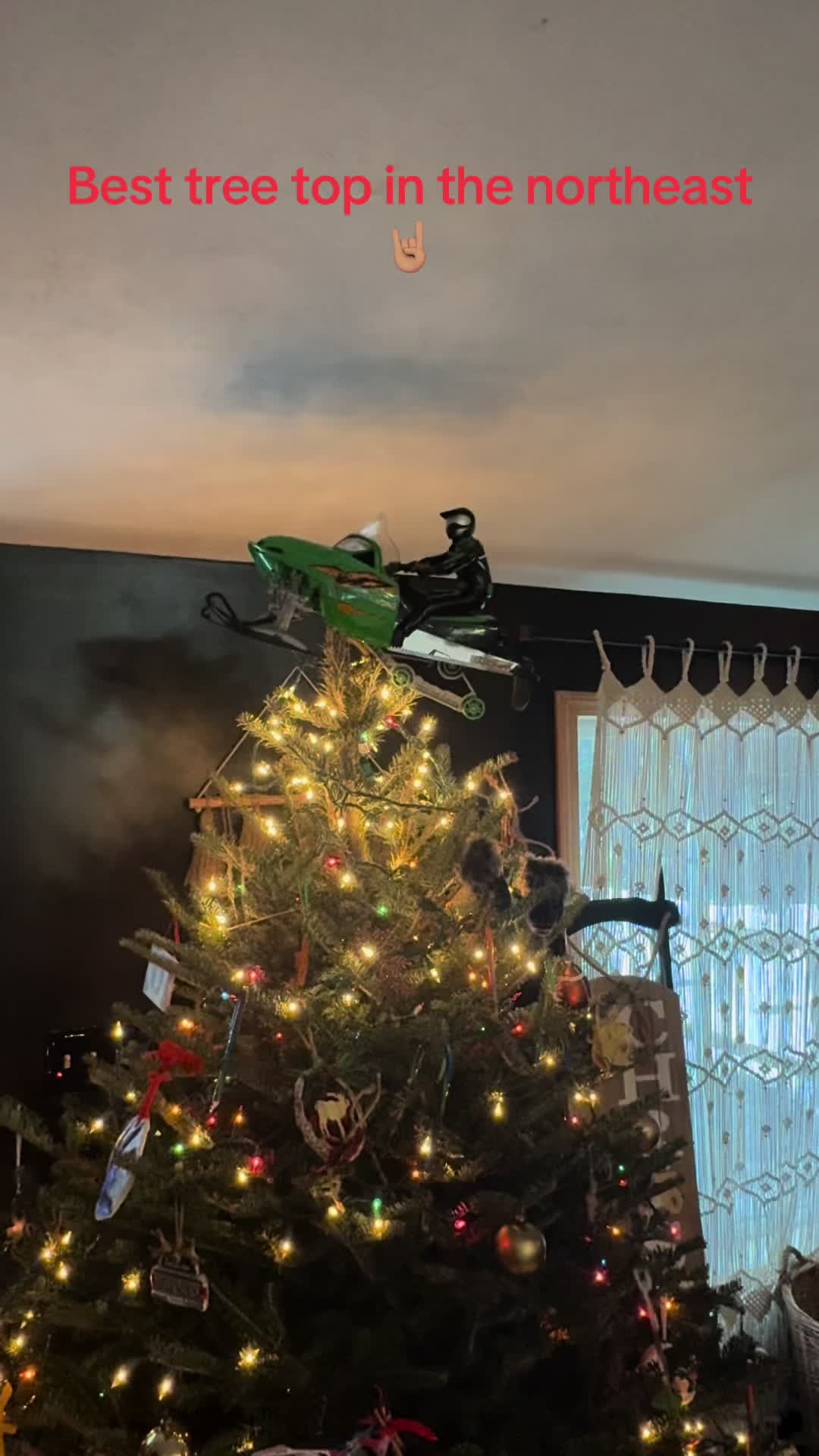 @Arcticcatmatt