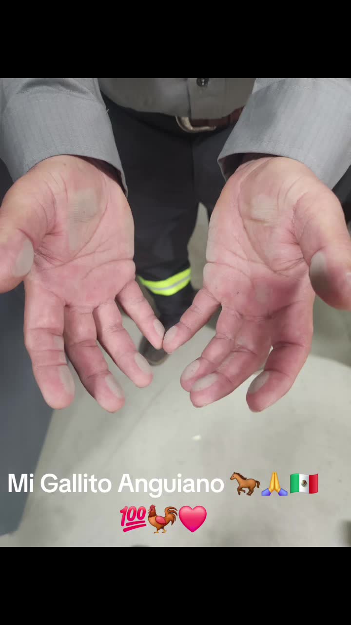 @Pablo Anguiano275