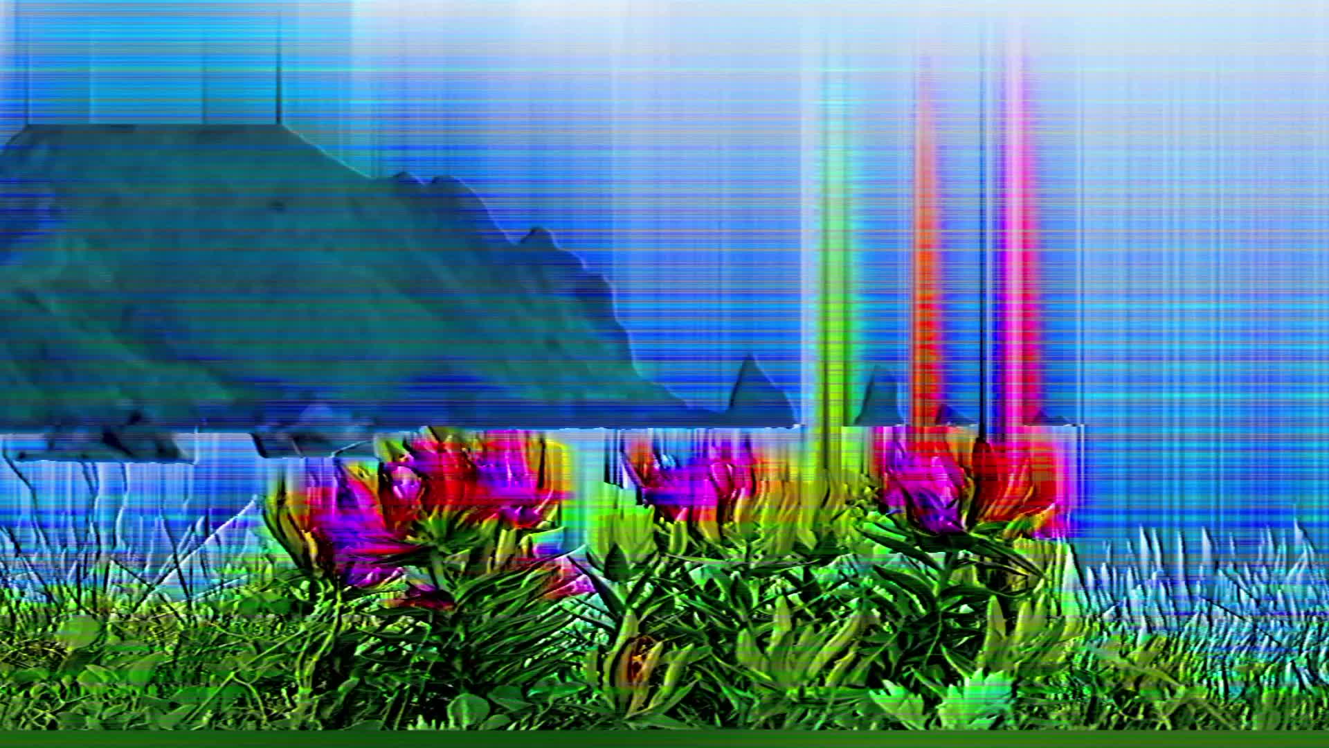 @Fractal Illusionist