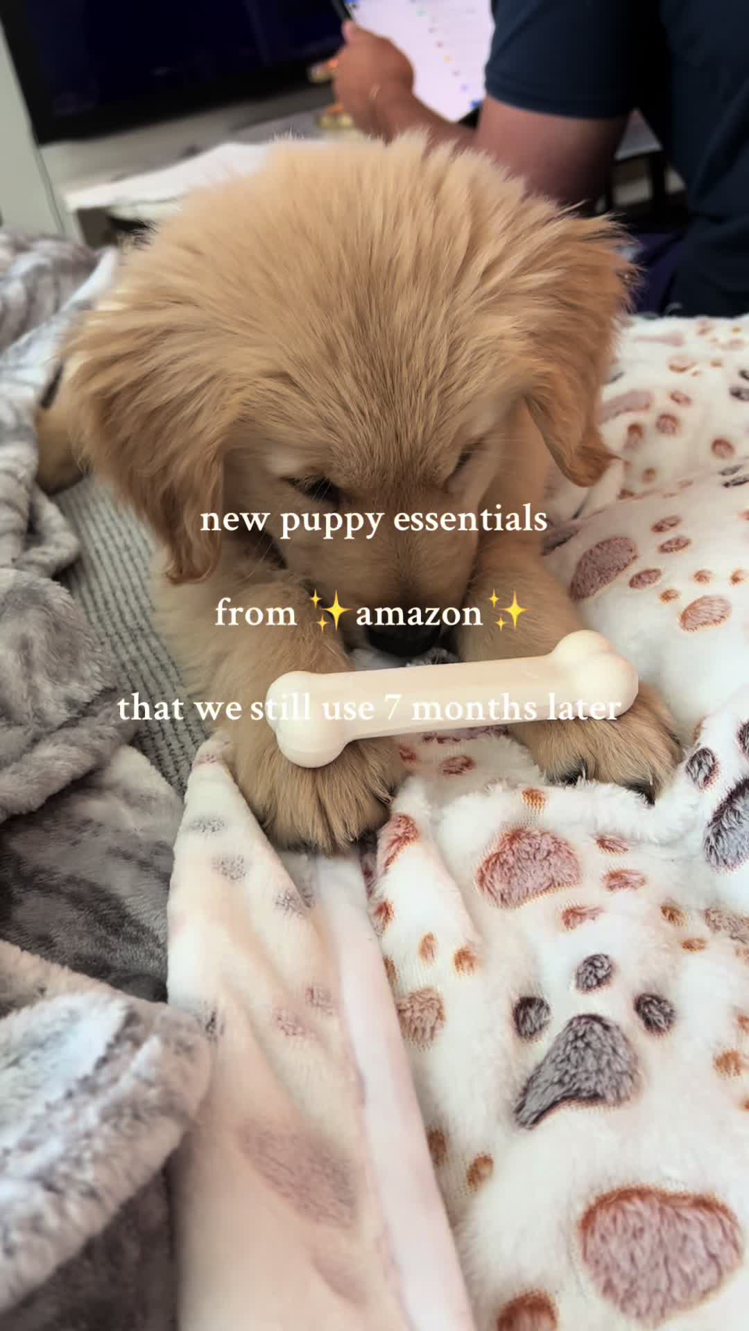 @novathegoldenn