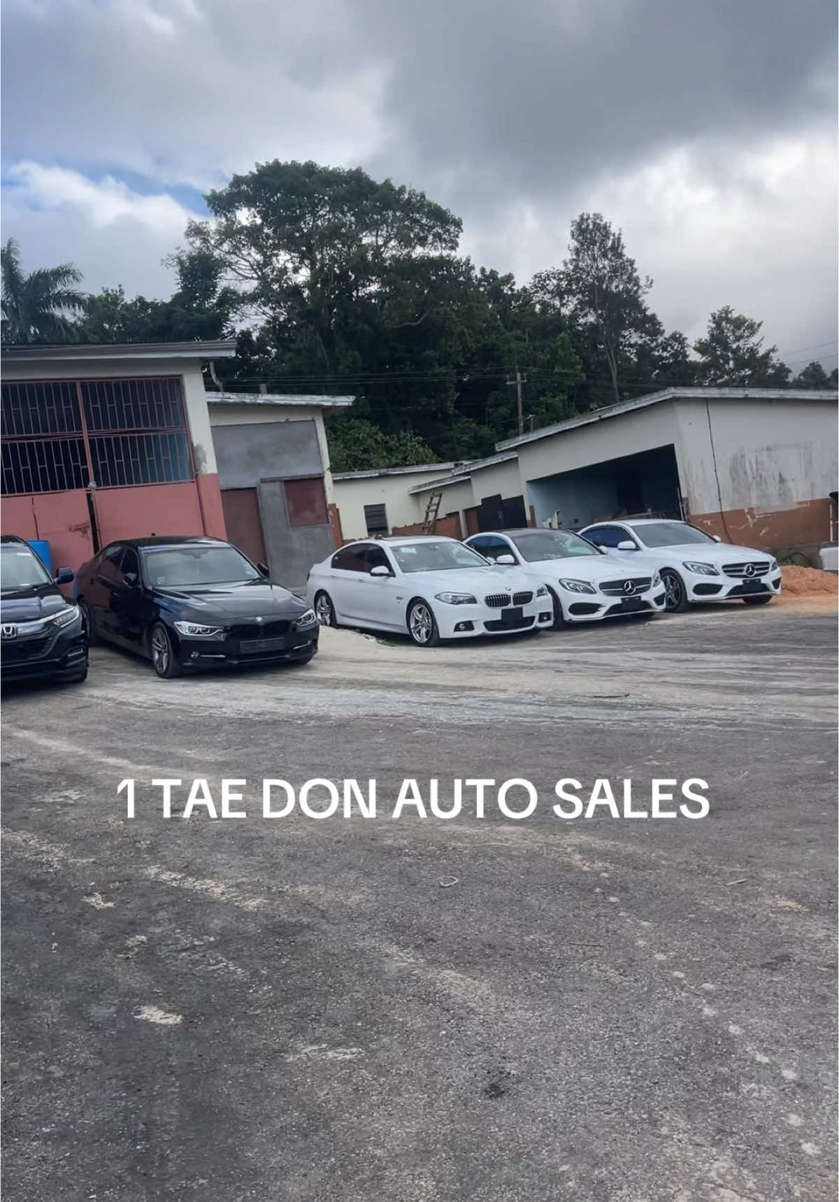 @DON KING 👑 THE GAD FADDA 🫡