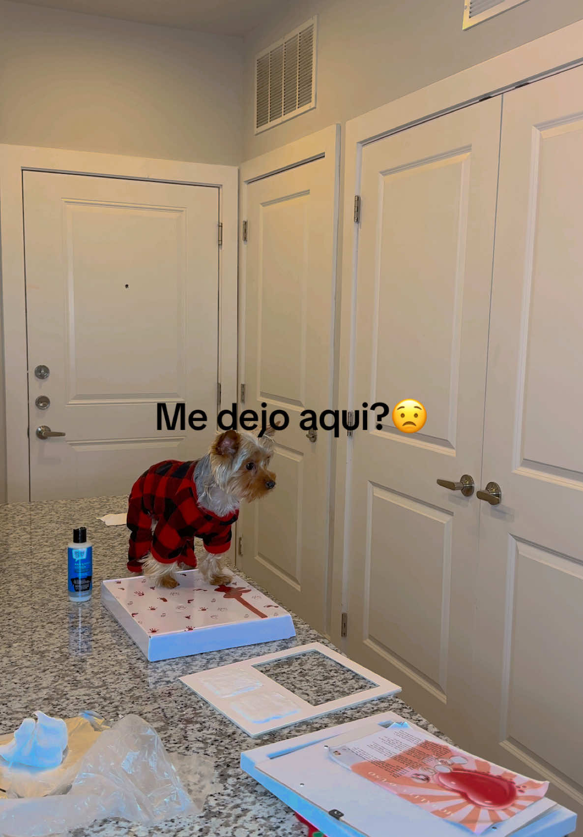 @María