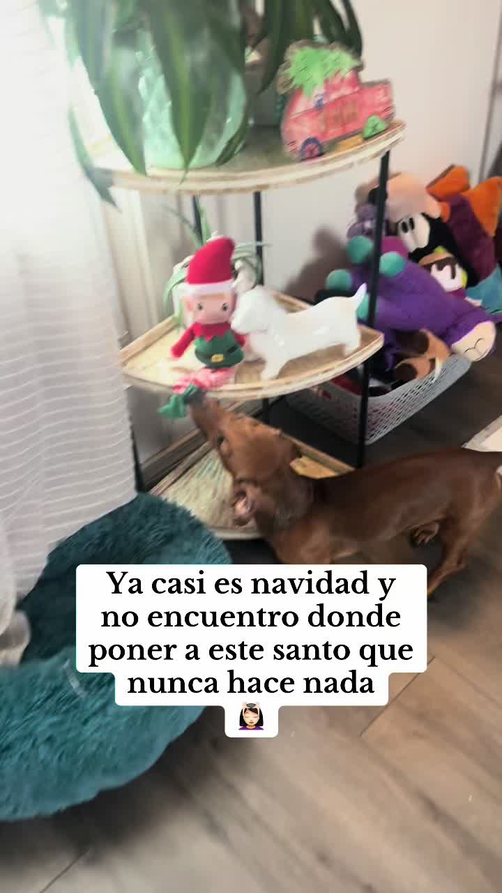 @💖