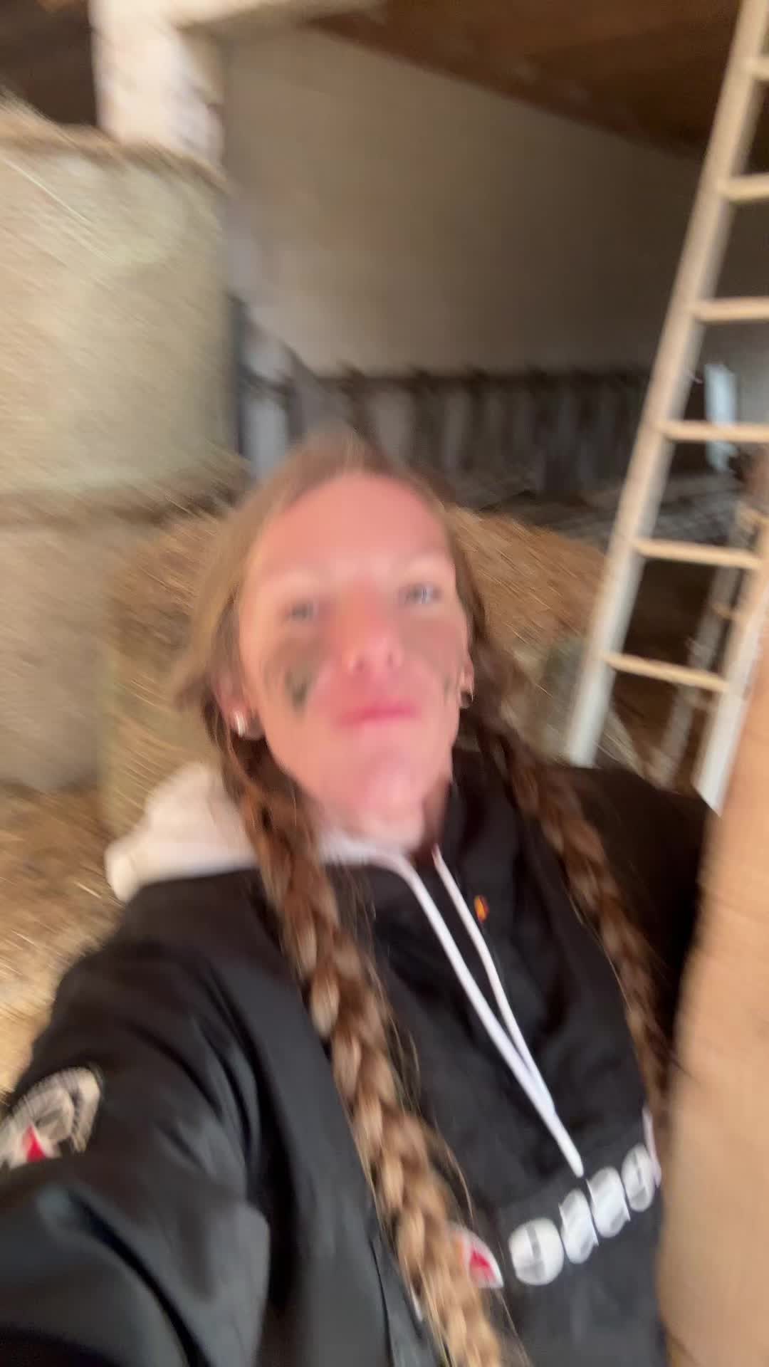 @HafiHorse2