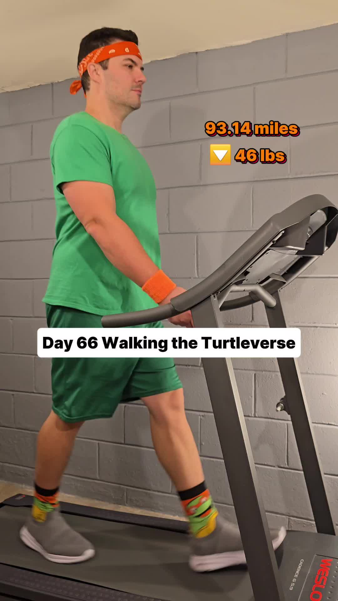 @Walking the Turtleverse