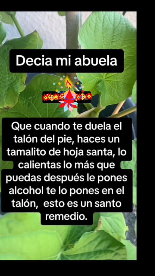 @Mujer medicina delas🌺abuelas