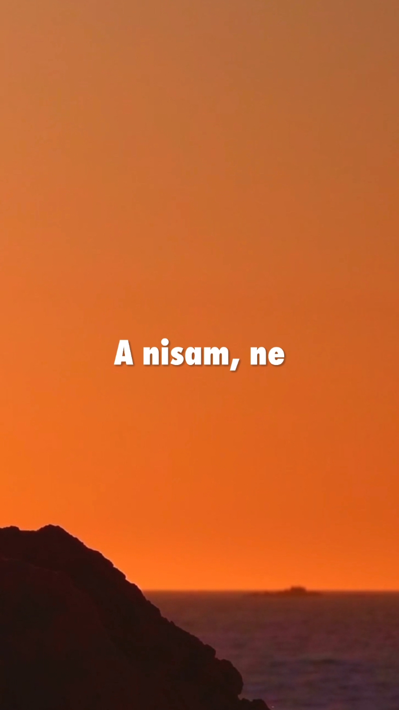 @𝐁𝐚𝐥𝐤𝐚𝐧 𝐌𝐮𝐬𝐢𝐜