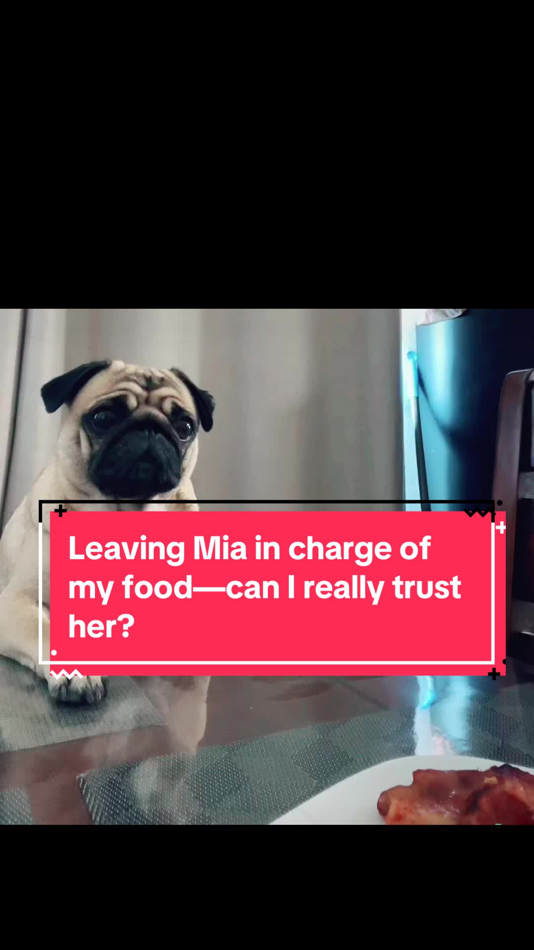 @Benji&Mia the Pugs
