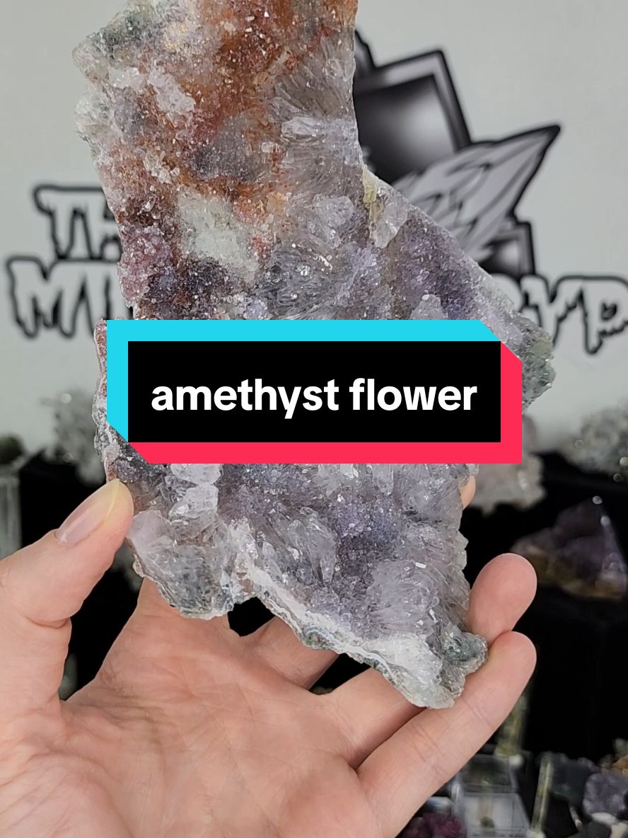 @the_mineralcrypt