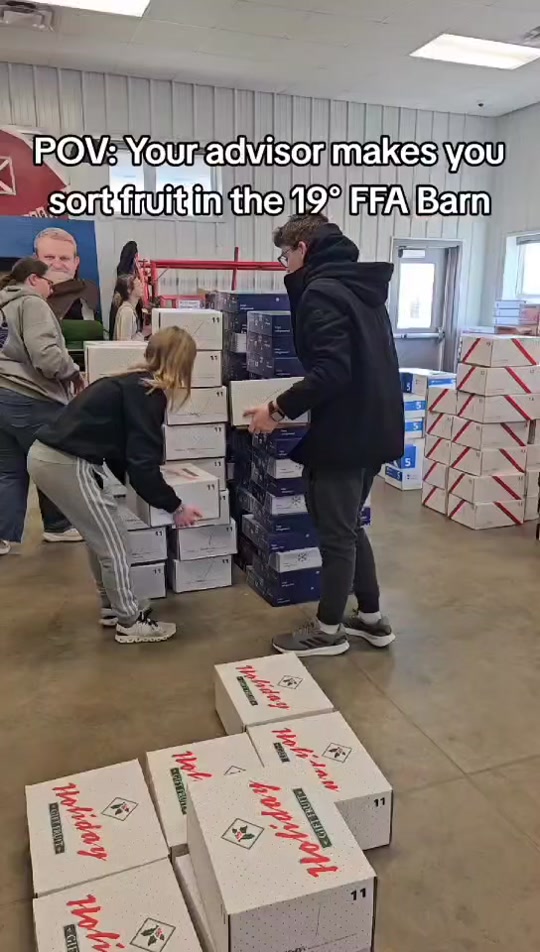 @vsffa