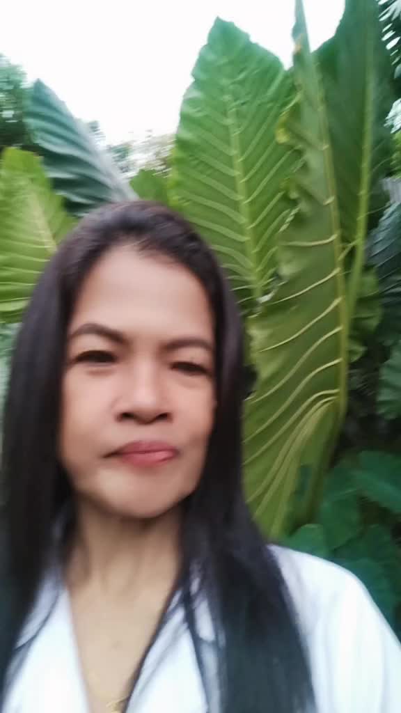 @maria delia peria