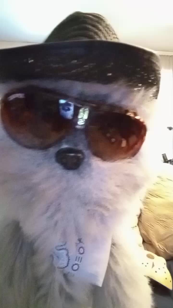 @Gage aka GagesterO I