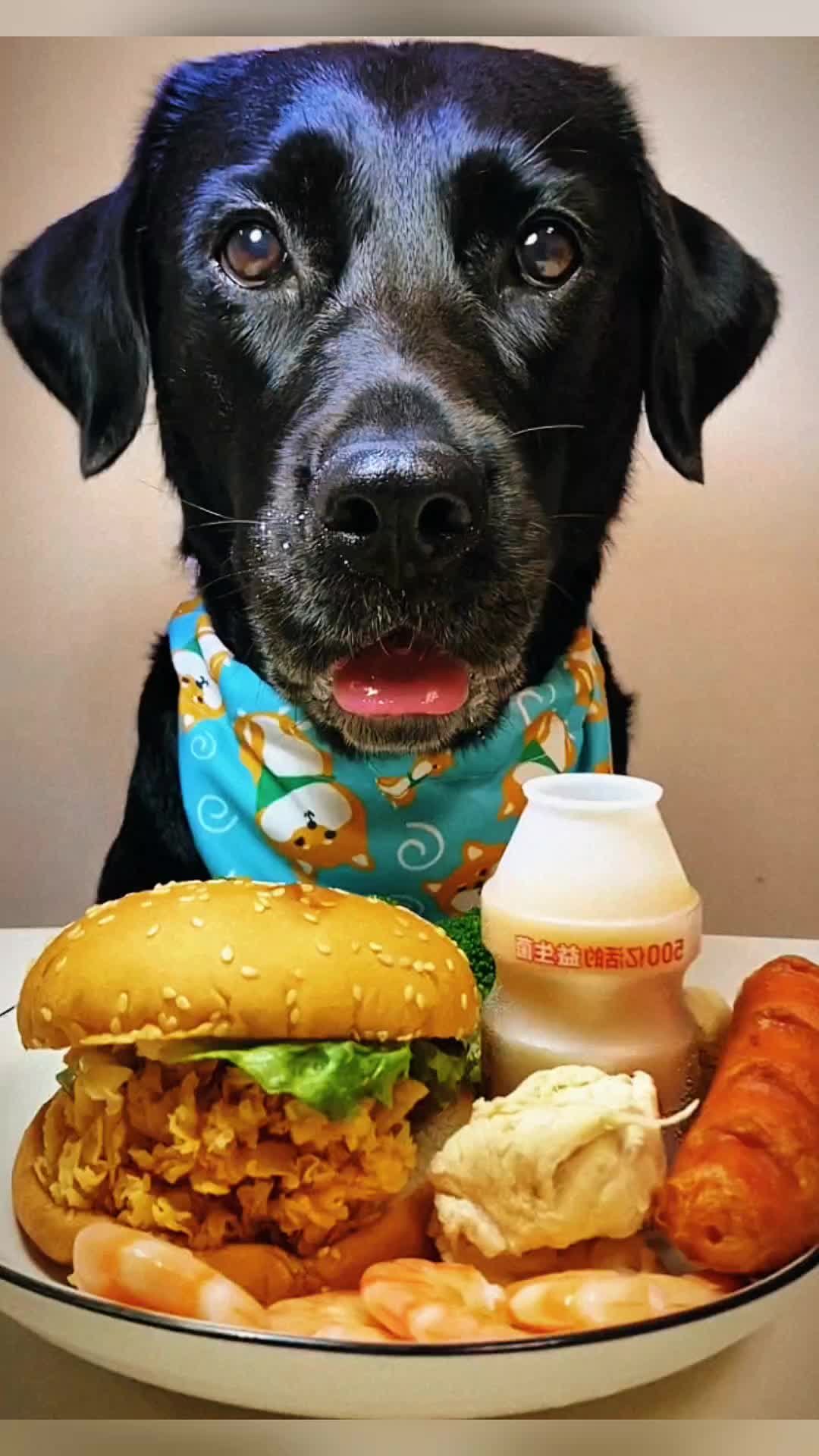 @nomad.noble.store