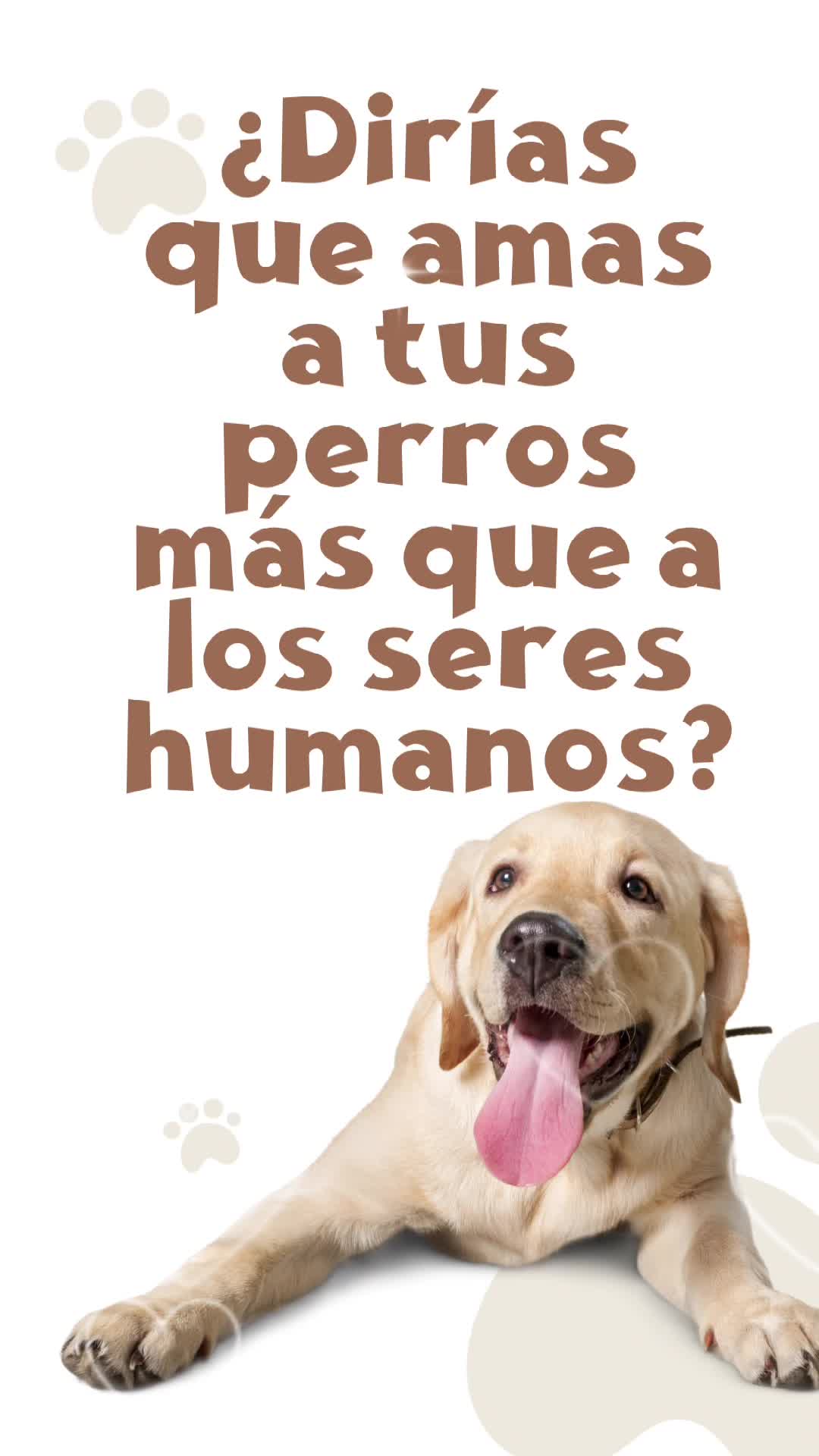 @Amigoscaninos_Ambato