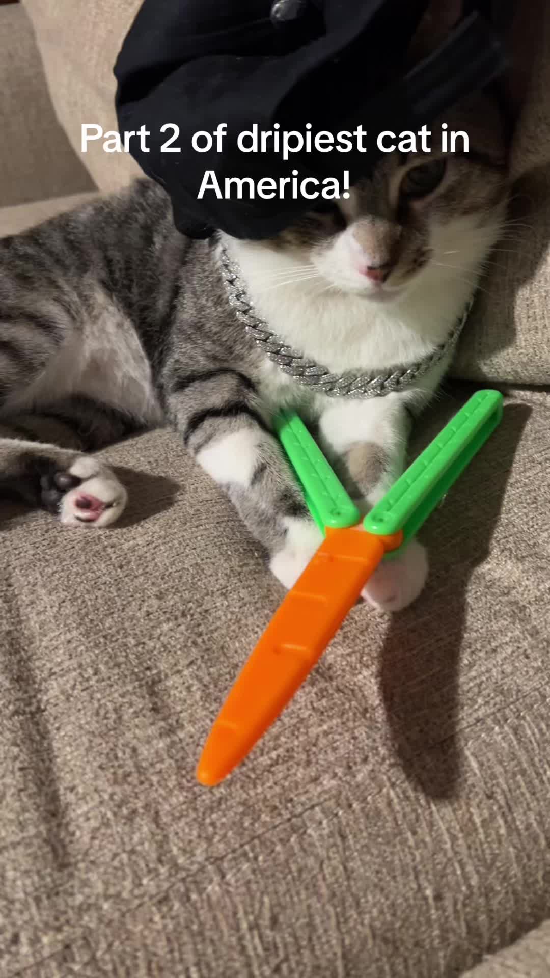 @mightycat83