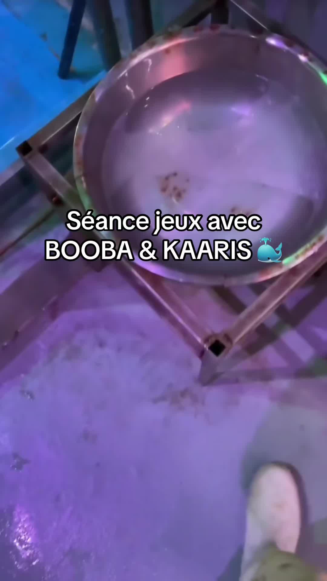 @OxarfisH &trade;