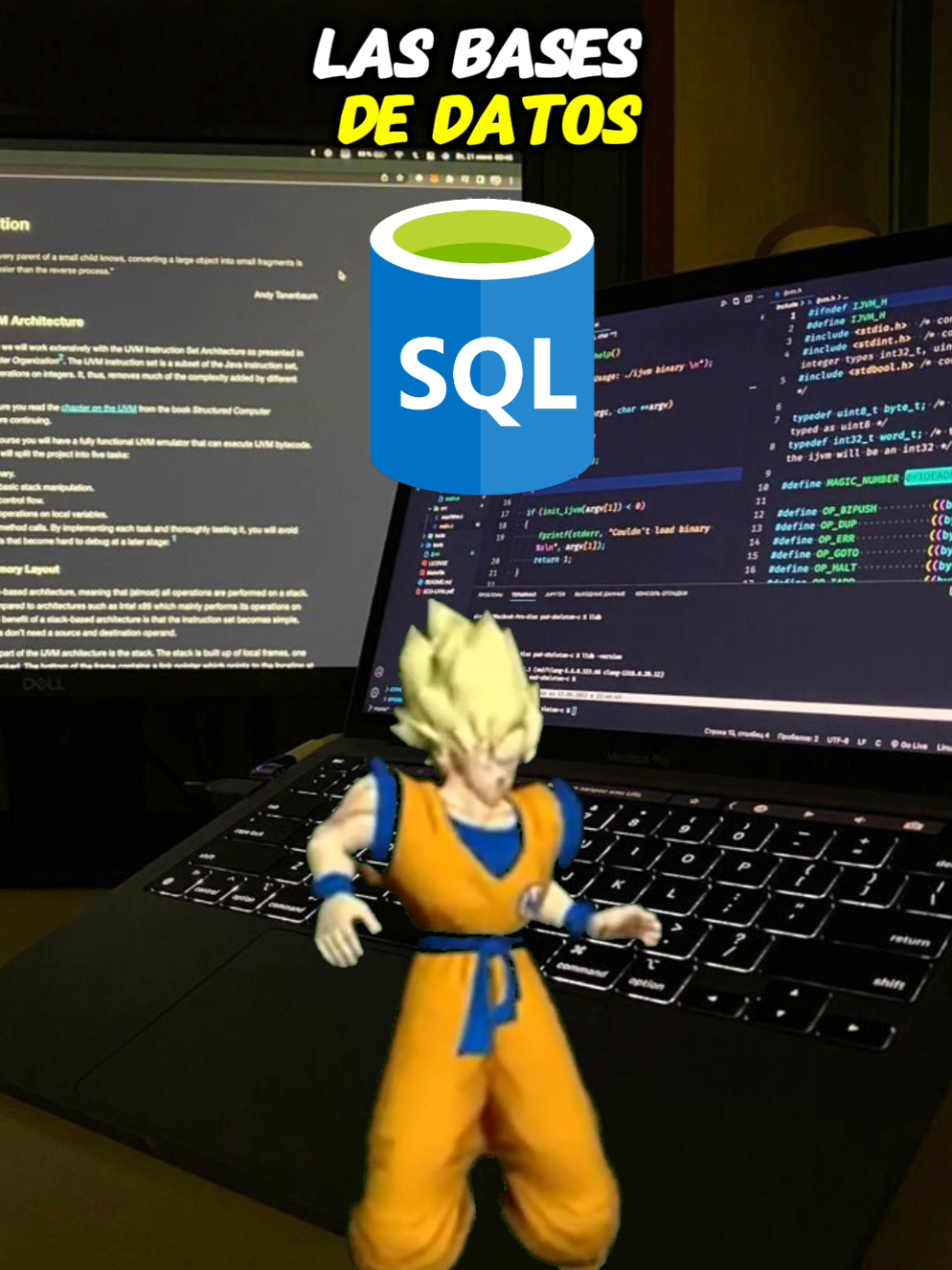 @evocodeteam